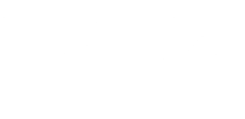 Stake logo
