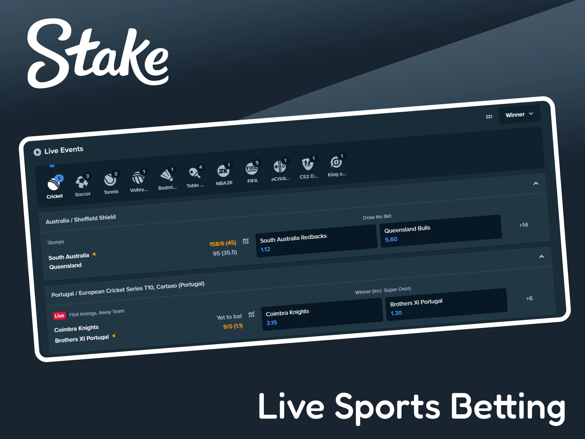 Bet on sports in real time on the Stake platform.